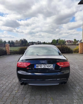 Audi S5 cena 64000 przebieg: 195000, rok produkcji 2009 z Szepietowo małe 352